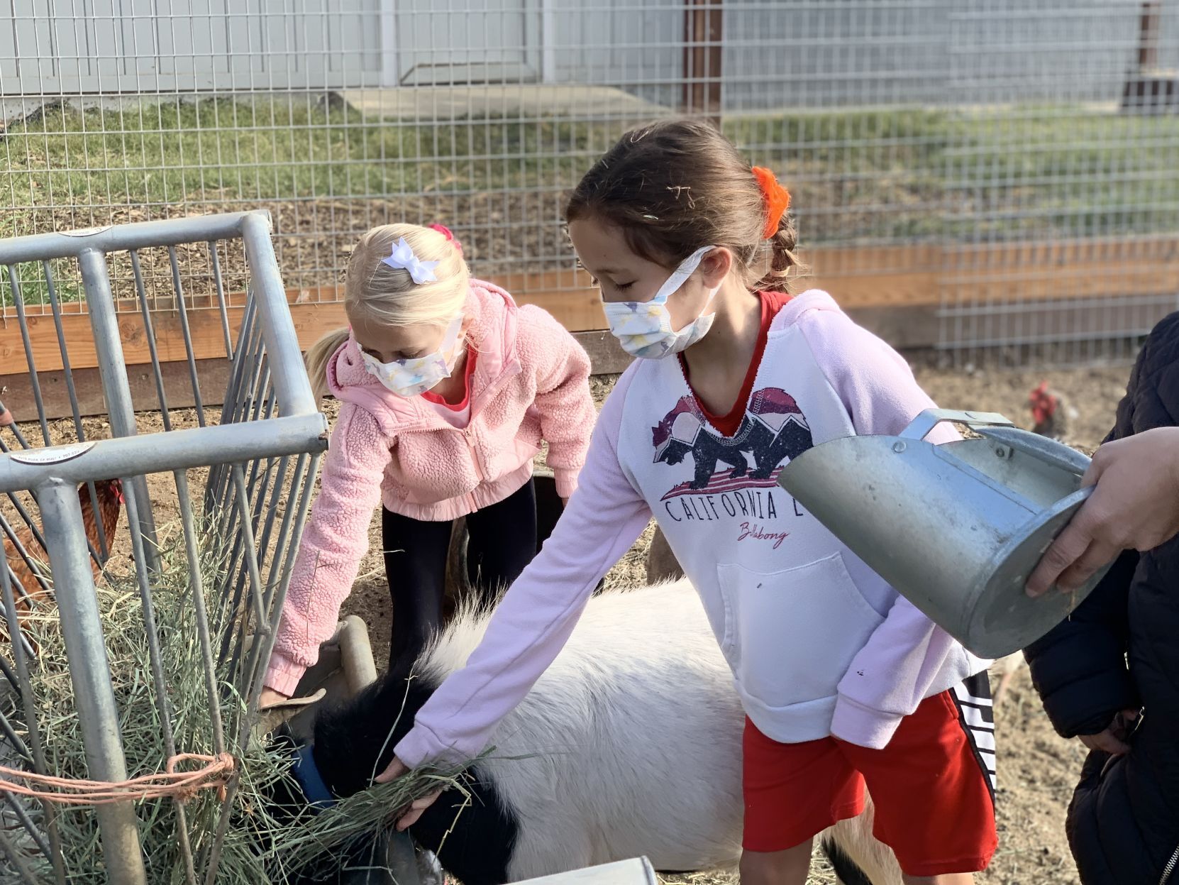 Napa Christian school farm